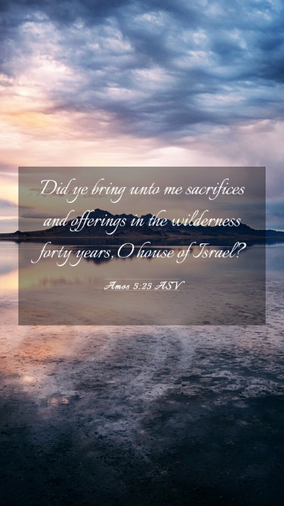 Picture 03 - Amos 5:25 ASV Mobile Phone Wallpaper - Did ye bring unto me sacrifices and offerings in - Mobile Bible Verse Wallpaper
