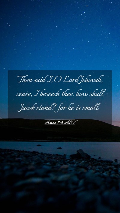 Picture 03 - Amos 7:5 ASV Mobile Phone Wallpaper - Then said I, O Lord Jehovah, cease, I beseech - Mobile Bible Verse Wallpaper