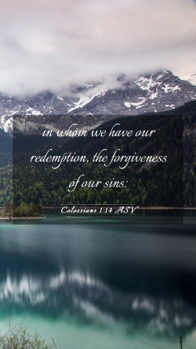 Picture 03 - Colossians 1:14 ASV Mobile Phone Wallpaper - in whom we have our redemption, the forgiveness - Mobile Bible Verse Wallpaper