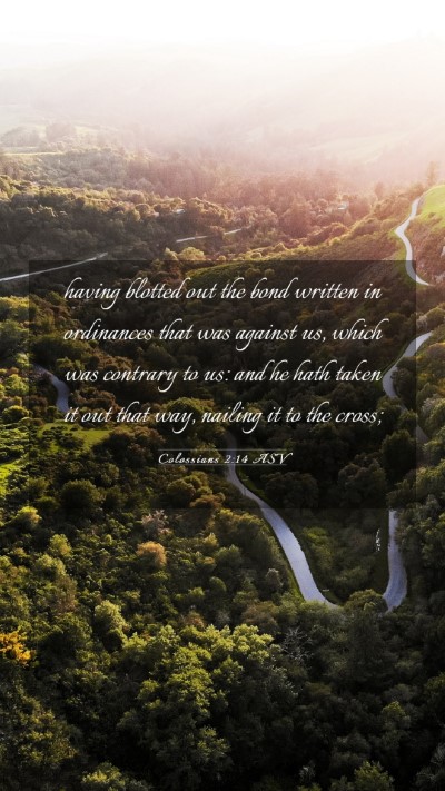 Picture 03 - Colossians 2:14 ASV Mobile Phone Wallpaper - having blotted out the bond written in ordinances - Mobile Bible Verse Wallpaper