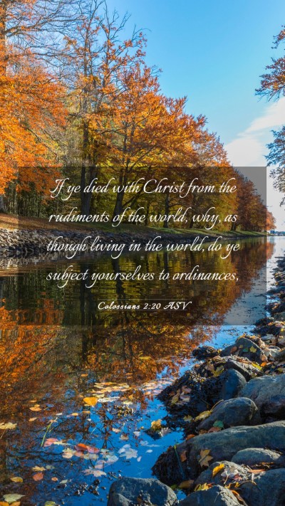 Picture 03 - Colossians 2:20 ASV Mobile Phone Wallpaper - If ye died with Christ from the rudiments of the - Mobile Bible Verse Wallpaper