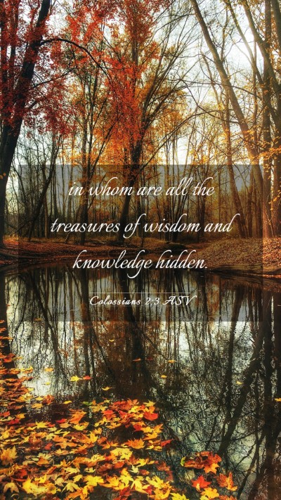 Picture 03 - Colossians 2:3 ASV Mobile Phone Wallpaper - in whom are all the treasures of wisdom and - Mobile Bible Verse Wallpaper