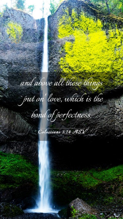 Picture 03 - Colossians 3:14 ASV Mobile Phone Wallpaper - and above all these things `put on' love, which - Mobile Bible Verse Wallpaper