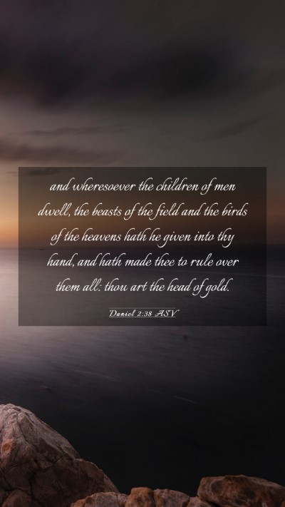 Picture 03 - Daniel 2:38 ASV Mobile Phone Wallpaper - and wheresoever the children of men dwell, the - Mobile Bible Verse Wallpaper