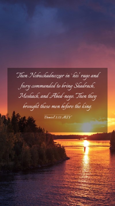 Picture 03 - Daniel 3:13 ASV Mobile Phone Wallpaper - Then Nebuchadnezzar in `his' rage and fury - Mobile Bible Verse Wallpaper
