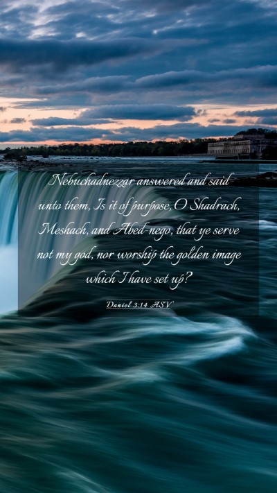 Picture 03 - Daniel 3:14 ASV Mobile Phone Wallpaper - Nebuchadnezzar answered and said unto them, Is it - Mobile Bible Verse Wallpaper