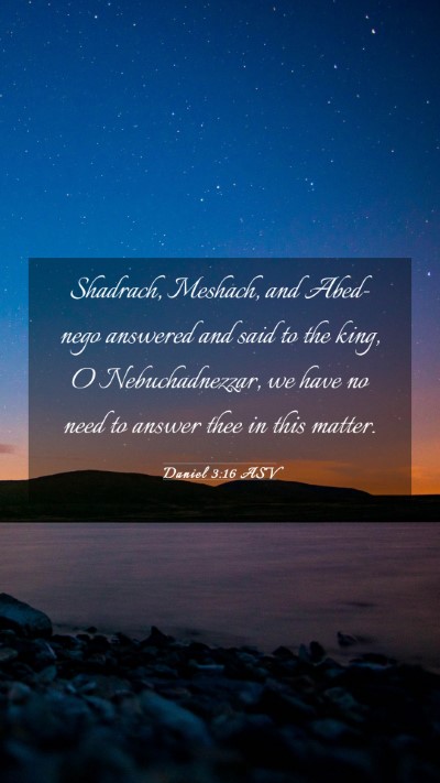 Picture 03 - Daniel 3:16 ASV Mobile Phone Wallpaper - Shadrach, Meshach, and Abed-nego answered and - Mobile Bible Verse Wallpaper
