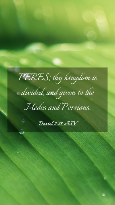 Picture 03 - Daniel 5:28 ASV Mobile Phone Wallpaper - PERES; thy kingdom is divided, and given to the - Mobile Bible Verse Wallpaper