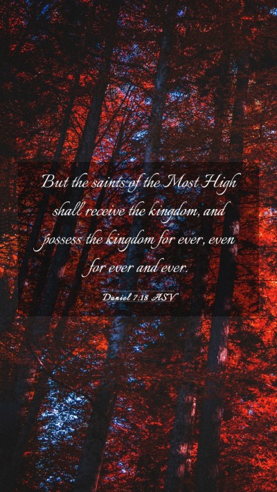 Picture 03 - Daniel 7:18 ASV Mobile Phone Wallpaper - But the saints of the Most High shall receive the - Mobile Bible Verse Wallpaper