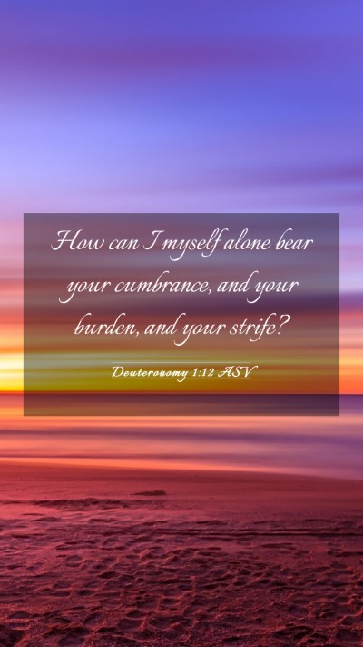 Picture 03 - Deuteronomy 1:12 ASV Mobile Phone Wallpaper - How can I myself alone bear your cumbrance, and - Mobile Bible Verse Wallpaper