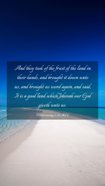 Picture 03 - Deuteronomy 1:25 ASV Mobile Phone Wallpaper - And they took of the fruit of the land in their - Mobile Bible Verse Wallpaper