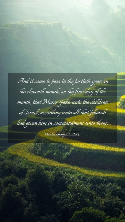 Picture 03 - Deuteronomy 1:3 ASV Mobile Phone Wallpaper - And it came to pass in the fortieth year, in the - Mobile Bible Verse Wallpaper