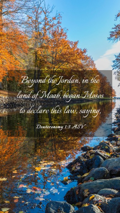 Picture 03 - Deuteronomy 1:5 ASV Mobile Phone Wallpaper - Beyond the Jordan, in the land of Moab, began - Mobile Bible Verse Wallpaper