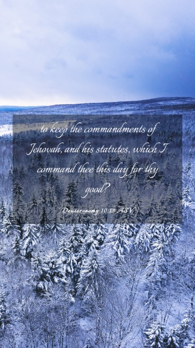 Picture 03 - Deuteronomy 10:13 ASV Mobile Phone Wallpaper - to keep the commandments of Jehovah, and his - Mobile Bible Verse Wallpaper