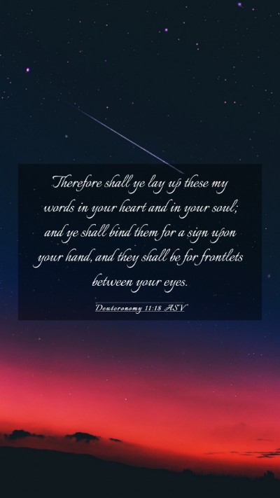 Picture 03 - Deuteronomy 11:18 ASV Mobile Phone Wallpaper - Therefore shall ye lay up these my words in your - Mobile Bible Verse Wallpaper