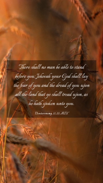 Picture 03 - Deuteronomy 11:25 ASV Mobile Phone Wallpaper - There shall no man be able to stand before you: - Mobile Bible Verse Wallpaper