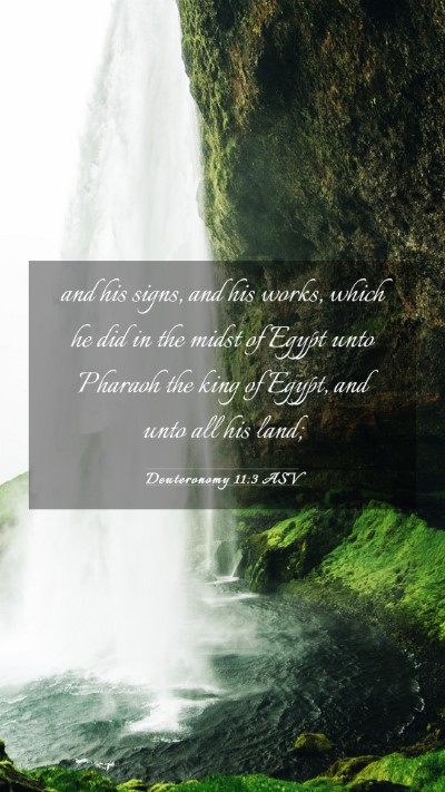 Picture 03 - Deuteronomy 11:3 ASV Mobile Phone Wallpaper - and his signs, and his works, which he did in the - Mobile Bible Verse Wallpaper
