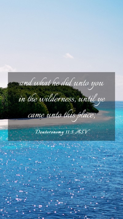 Picture 03 - Deuteronomy 11:5 ASV Mobile Phone Wallpaper - and what he did unto you in the wilderness, until - Mobile Bible Verse Wallpaper