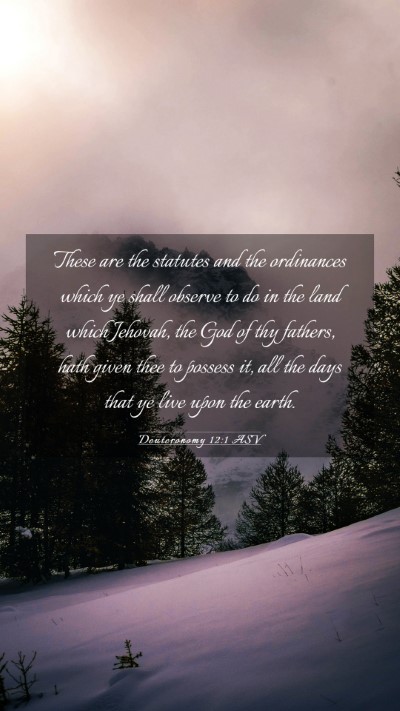Picture 03 - Deuteronomy 12:1 ASV Mobile Phone Wallpaper - These are the statutes and the ordinances which - Mobile Bible Verse Wallpaper