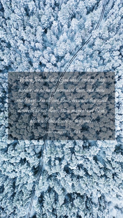 Picture 03 - Deuteronomy 12:20 ASV Mobile Phone Wallpaper - When Jehovah thy God shall enlarge thy border, as - Mobile Bible Verse Wallpaper