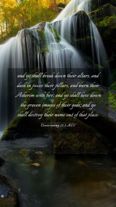 Picture 03 - Deuteronomy 12:3 ASV Mobile Phone Wallpaper - and ye shall break down their altars, and dash in - Mobile Bible Verse Wallpaper