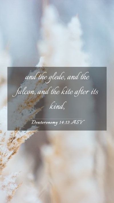 Picture 03 - Deuteronomy 14:13 ASV Mobile Phone Wallpaper - and the glede, and the falcon, and the kite after - Mobile Bible Verse Wallpaper