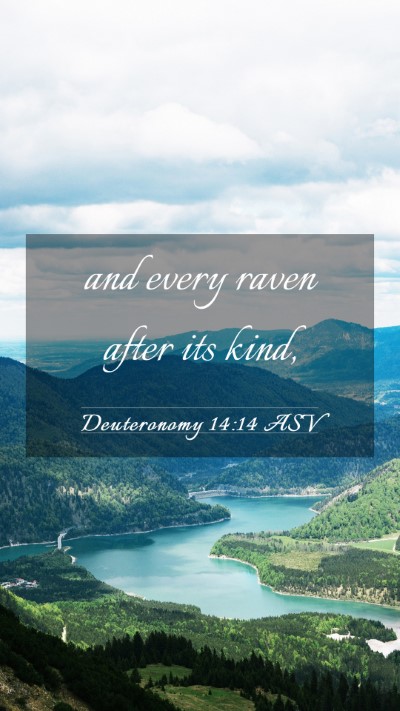 Picture 03 - Deuteronomy 14:14 ASV Mobile Phone Wallpaper - and every raven after its - Mobile Bible Verse Wallpaper