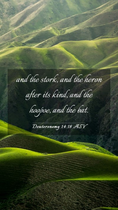Picture 03 - Deuteronomy 14:18 ASV Mobile Phone Wallpaper - and the stork, and the heron after its kind, and - Mobile Bible Verse Wallpaper
