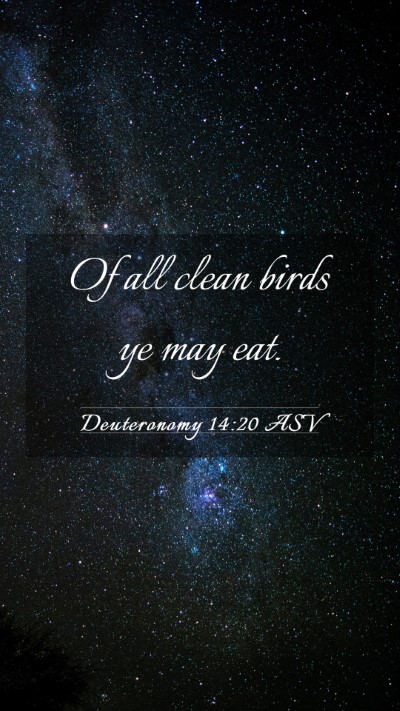 Picture 03 - Deuteronomy 14:20 ASV Mobile Phone Wallpaper - Of all clean birds ye may - Mobile Bible Verse Wallpaper
