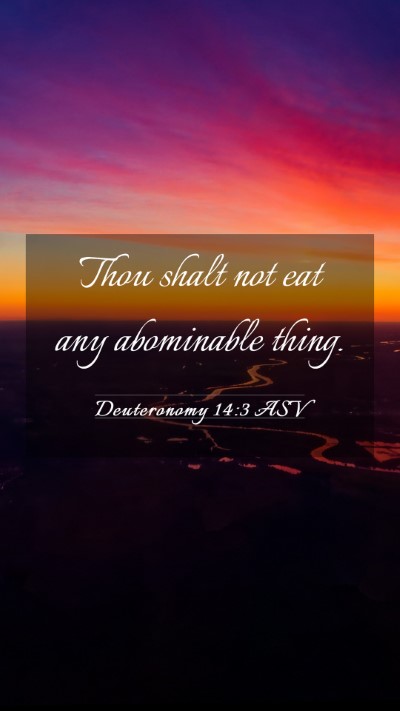 Picture 03 - Deuteronomy 14:3 ASV Mobile Phone Wallpaper - Thou shalt not eat any abominable - Mobile Bible Verse Wallpaper