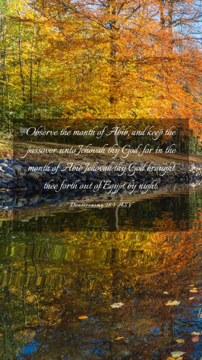 Picture 03 - Deuteronomy 16:1 ASV Mobile Phone Wallpaper - Observe the month of Abib, and keep the passover - Mobile Bible Verse Wallpaper