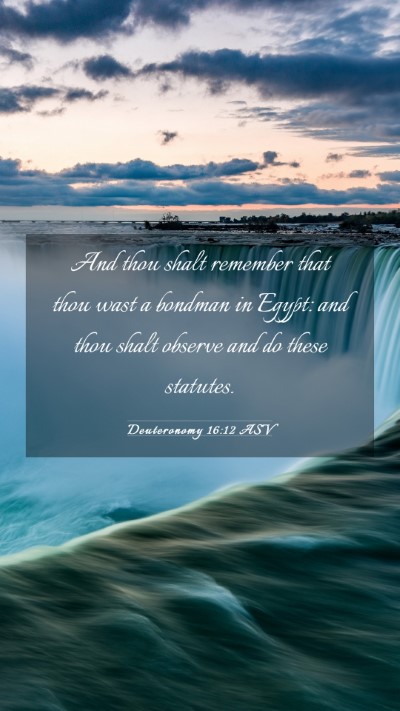 Picture 03 - Deuteronomy 16:12 ASV Mobile Phone Wallpaper - And thou shalt remember that thou wast a bondman - Mobile Bible Verse Wallpaper