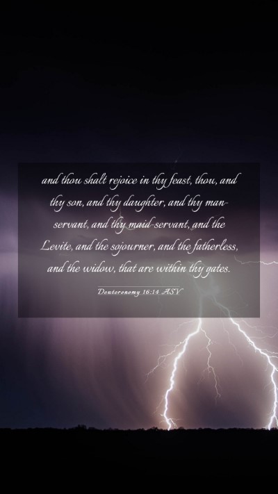 Picture 03 - Deuteronomy 16:14 ASV Mobile Phone Wallpaper - and thou shalt rejoice in thy feast, thou, and - Mobile Bible Verse Wallpaper