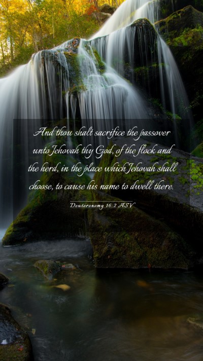 Picture 03 - Deuteronomy 16:2 ASV Mobile Phone Wallpaper - And thou shalt sacrifice the passover unto - Mobile Bible Verse Wallpaper