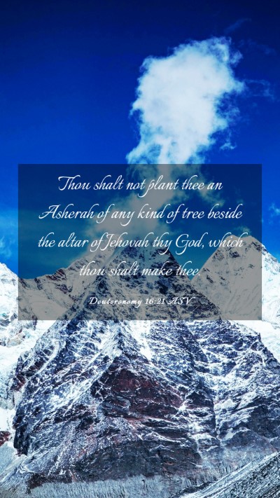 Picture 03 - Deuteronomy 16:21 ASV Mobile Phone Wallpaper - Thou shalt not plant thee an Asherah of any kind - Mobile Bible Verse Wallpaper