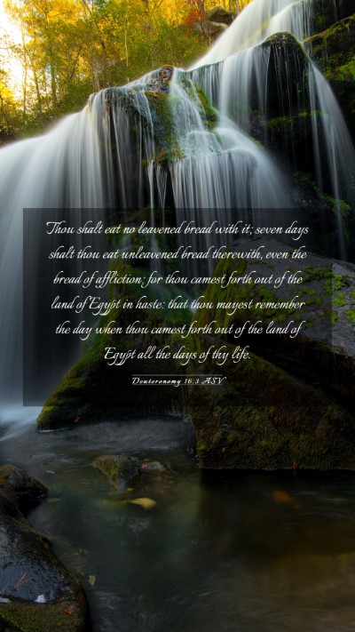 Picture 03 - Deuteronomy 16:3 ASV Mobile Phone Wallpaper - Thou shalt eat no leavened bread with it; seven - Mobile Bible Verse Wallpaper