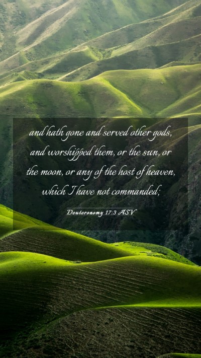 Picture 03 - Deuteronomy 17:3 ASV Mobile Phone Wallpaper - and hath gone and served other gods, and - Mobile Bible Verse Wallpaper