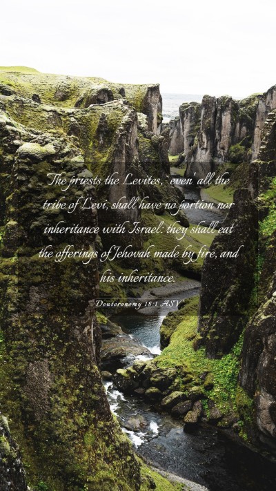 Picture 03 - Deuteronomy 18:1 ASV Mobile Phone Wallpaper - The priests the Levites, `even' all the tribe of - Mobile Bible Verse Wallpaper