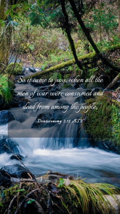 Picture 03 - Deuteronomy 2:16 ASV Mobile Phone Wallpaper - So it came to pass, when all the men of war were - Mobile Bible Verse Wallpaper