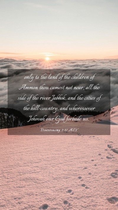 Picture 03 - Deuteronomy 2:37 ASV Mobile Phone Wallpaper - only to the land of the children of Ammon thou - Mobile Bible Verse Wallpaper