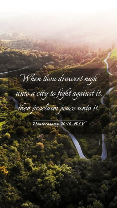 Picture 03 - Deuteronomy 20:10 ASV Mobile Phone Wallpaper - When thou drawest nigh unto a city to fight - Mobile Bible Verse Wallpaper