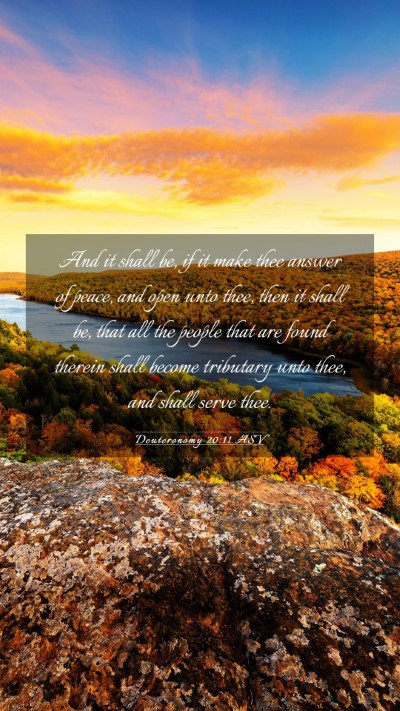 Picture 03 - Deuteronomy 20:11 ASV Mobile Phone Wallpaper - And it shall be, if it make thee answer of peace, - Mobile Bible Verse Wallpaper