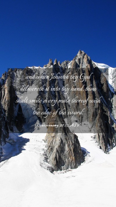 Picture 03 - Deuteronomy 20:13 ASV Mobile Phone Wallpaper - and when Jehovah thy God delivereth it into thy - Mobile Bible Verse Wallpaper
