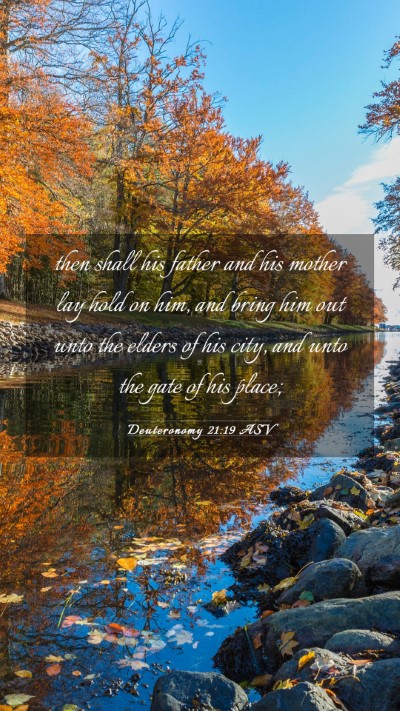 Picture 03 - Deuteronomy 21:19 ASV Mobile Phone Wallpaper - then shall his father and his mother lay hold on - Mobile Bible Verse Wallpaper