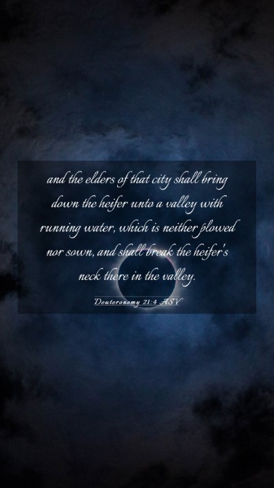 Picture 03 - Deuteronomy 21:4 ASV Mobile Phone Wallpaper - and the elders of that city shall bring down the - Mobile Bible Verse Wallpaper