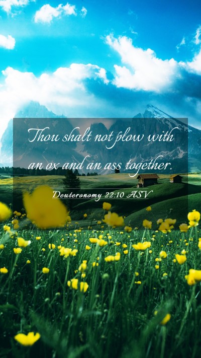 Picture 03 - Deuteronomy 22:10 ASV Mobile Phone Wallpaper - Thou shalt not plow with an ox and an ass - Mobile Bible Verse Wallpaper