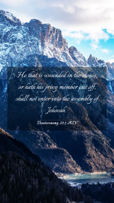 Picture 03 - Deuteronomy 23:1 ASV Mobile Phone Wallpaper - He that is wounded in the stones, or hath his - Mobile Bible Verse Wallpaper