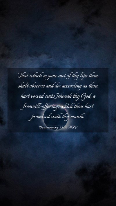 Picture 03 - Deuteronomy 23:23 ASV Mobile Phone Wallpaper - That which is gone out of thy lips thou shalt - Mobile Bible Verse Wallpaper