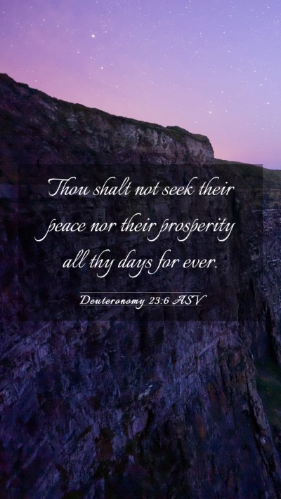 Picture 03 - Deuteronomy 23:6 ASV Mobile Phone Wallpaper - Thou shalt not seek their peace nor their - Mobile Bible Verse Wallpaper