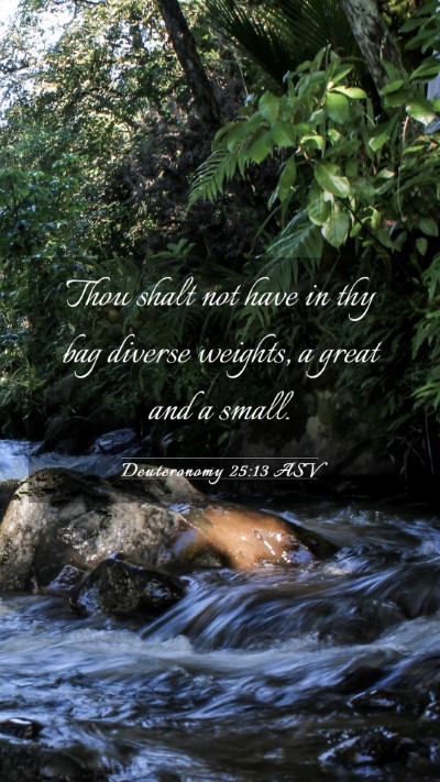Picture 03 - Deuteronomy 25:13 ASV Mobile Phone Wallpaper - Thou shalt not have in thy bag diverse weights, a - Mobile Bible Verse Wallpaper